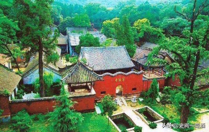 河南一县，古称涅阳，菩提寺是中原名寺，玉雕地毯金鱼玉兰花有名