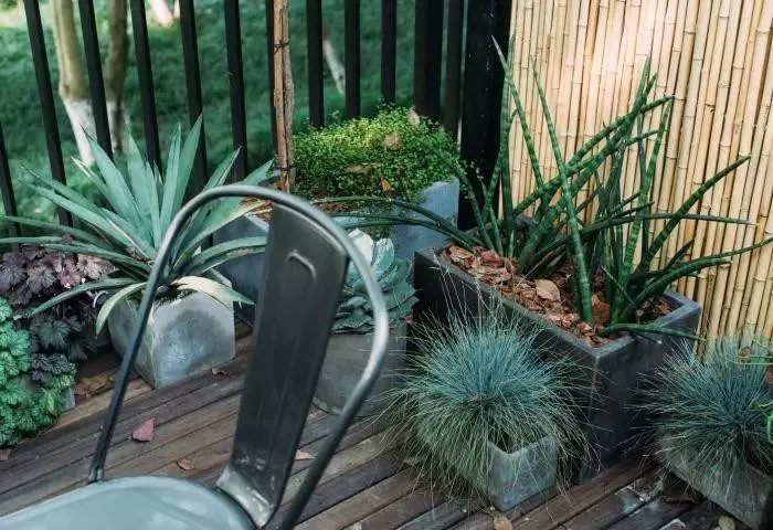 国内设计范十足的精品民宿,国内特色民宿设计公司推荐