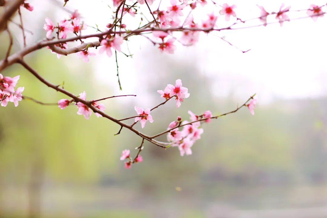 一个人穷游中国江苏扬州,一个人穷游中国扬州景区