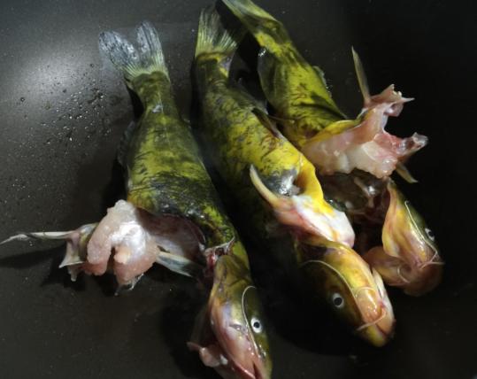 豆腐鱼汤怎么做好喝又营养,豆腐鱼汤怎么做好喝又清淡