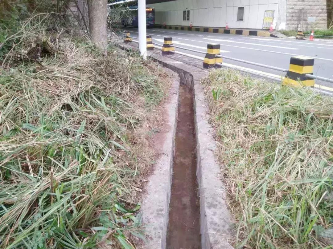 春节回家必经的隧道,不看本文我完全认不出!