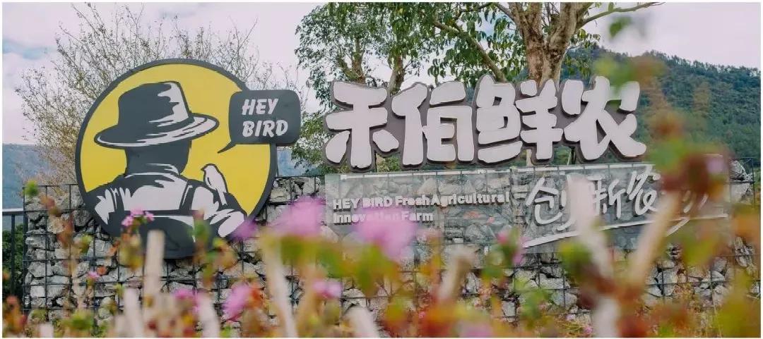 厦门特色旅游小镇,厦门两镇上榜省全域生态旅游小镇