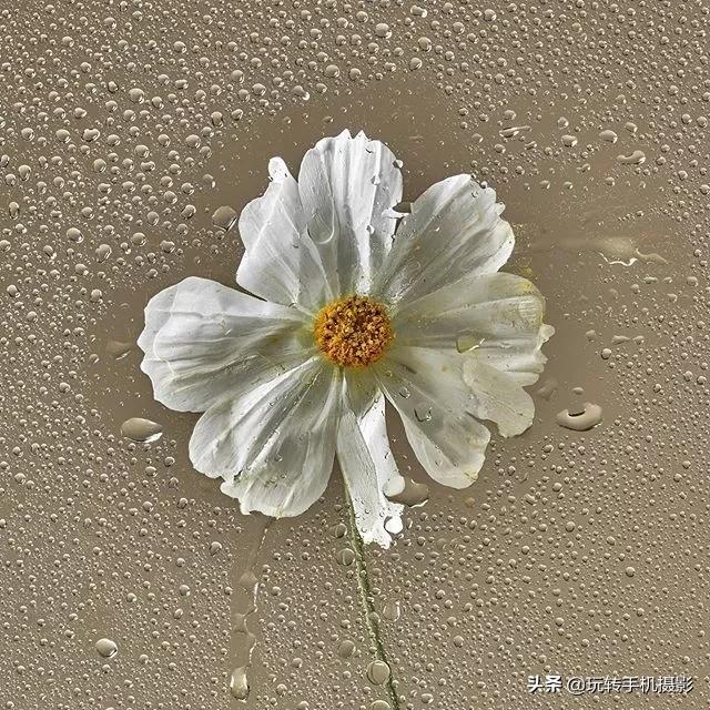 宅宅的风格拍照,绝美宅家拍照教程秒get氛围感照片