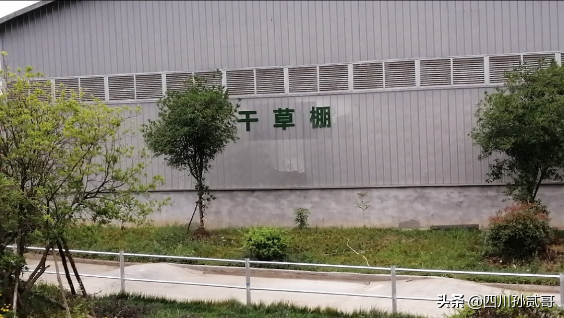 雪宝奶牛场,参观雪兰牛奶工厂心得体会