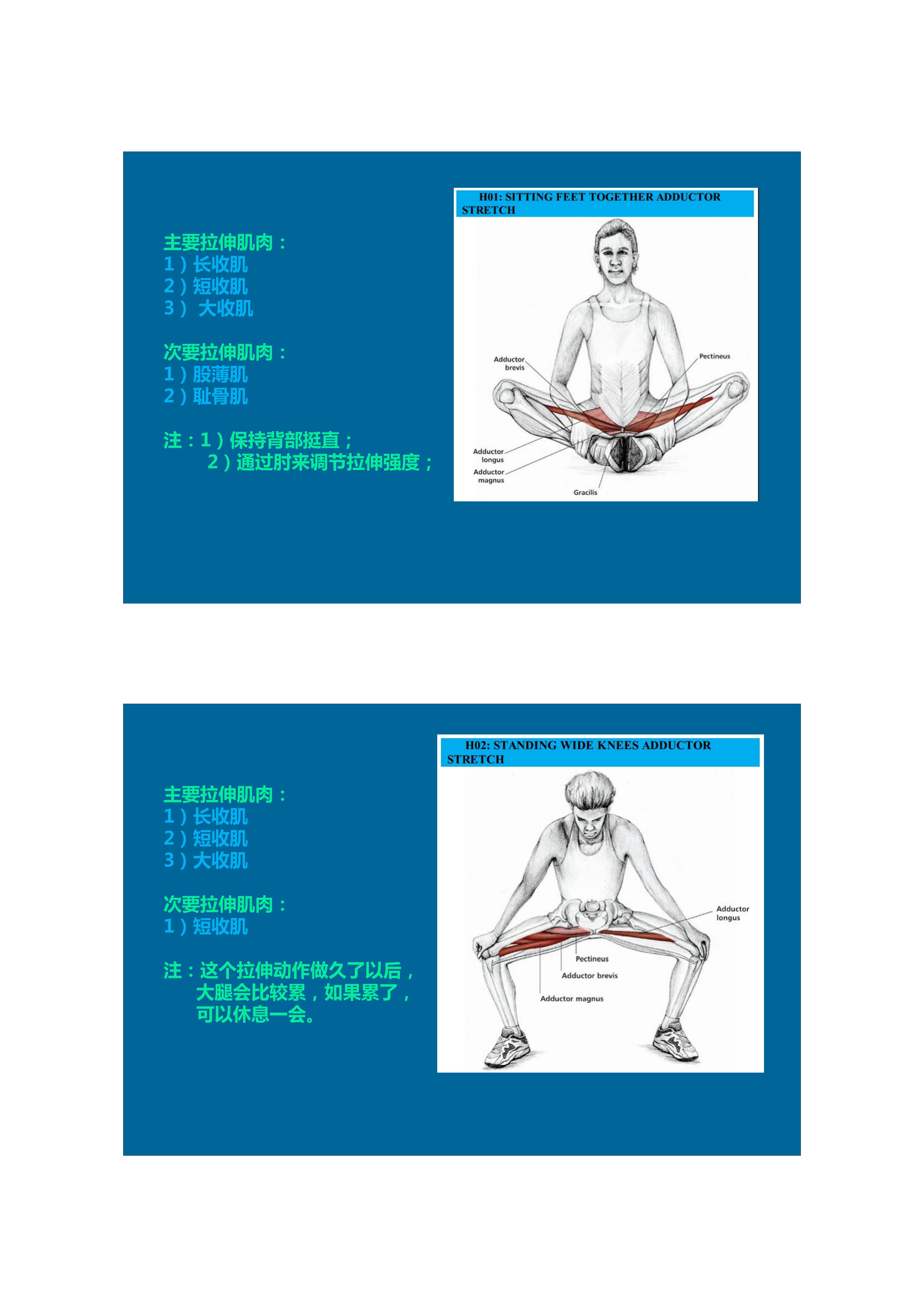 1分钟拉伸动作视频,拉伸腿部技巧