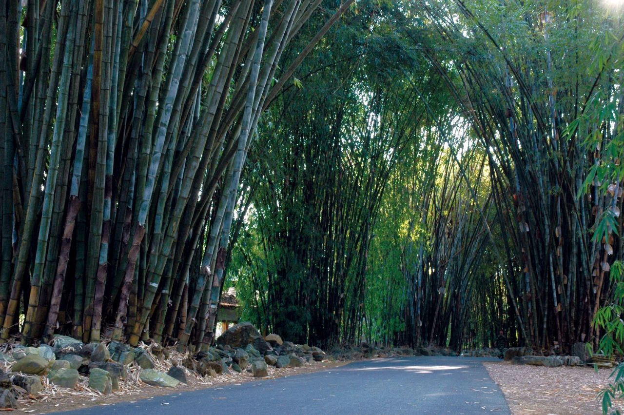 国庆中秋景区免费打折时间,中秋节10余景区40余项活动等你来