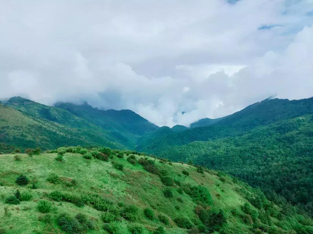 神农架攻略书,重庆出发神农架三日自驾游攻略