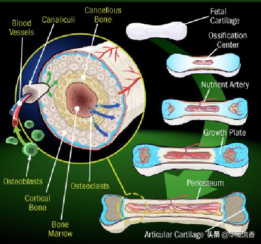太阳系中还有其他水球吗,太阳系宇宙中有多少水
