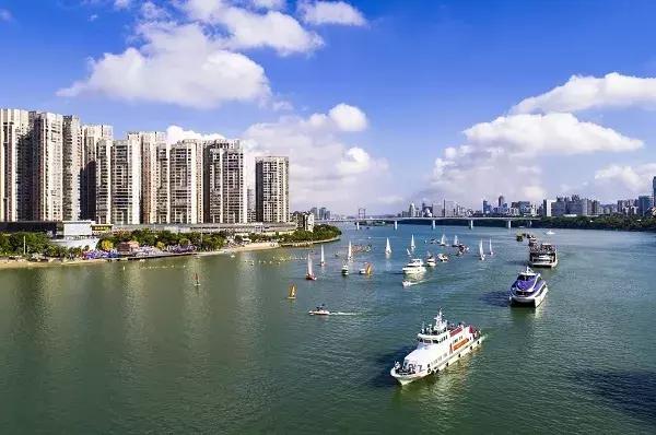 高考志愿填报南方科技大学,广西科技大学一志愿2024