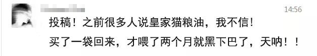 皇家猫粮有什么问题,关于皇家猫粮