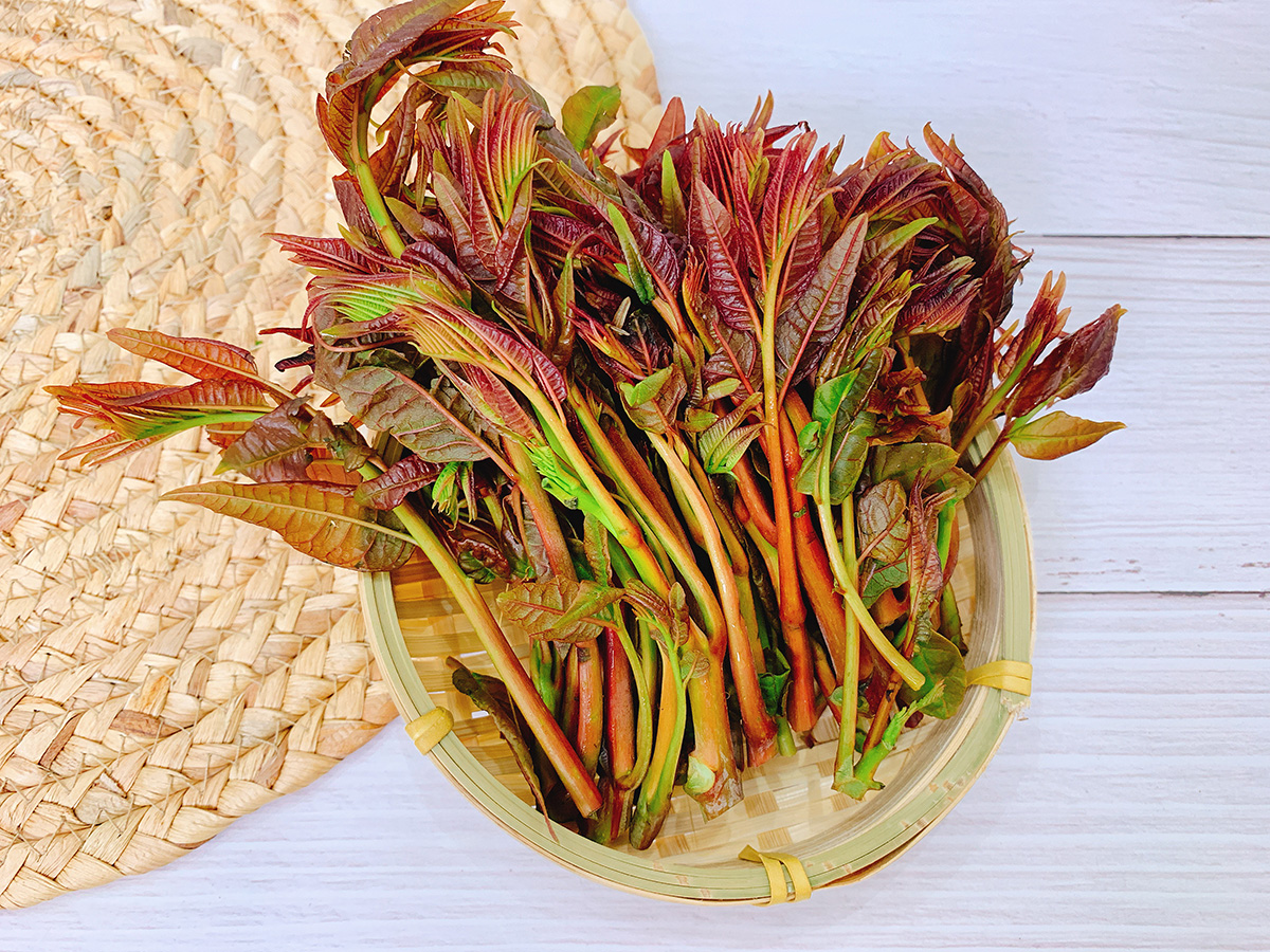 香椿苗拌鸡蛋干香椿苗要不要焯水,安徽香椿拌豆腐香椿需要焯水多久