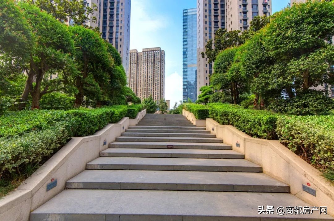 近20年，干3件事，正弘北区之路，初心未改