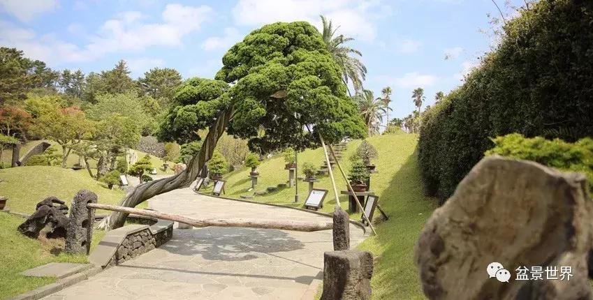 走进韩国思索之苑,这里算得上世界最美的庭园吗