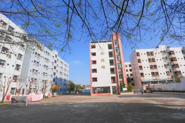 梅州最好的中学排名,梅州最美的学校