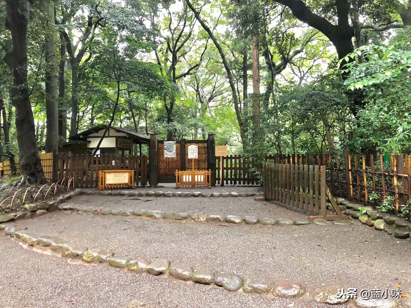 日本自由行7天看富士山,东京自由行攻略东京富士山自由行