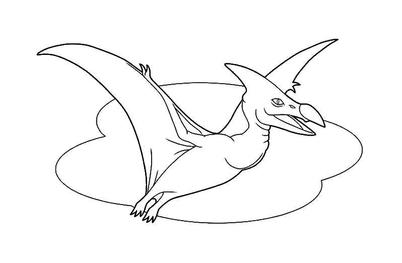 恐龙简笔画怎么才能画好看,儿童简笔画恐龙大全简单又漂亮