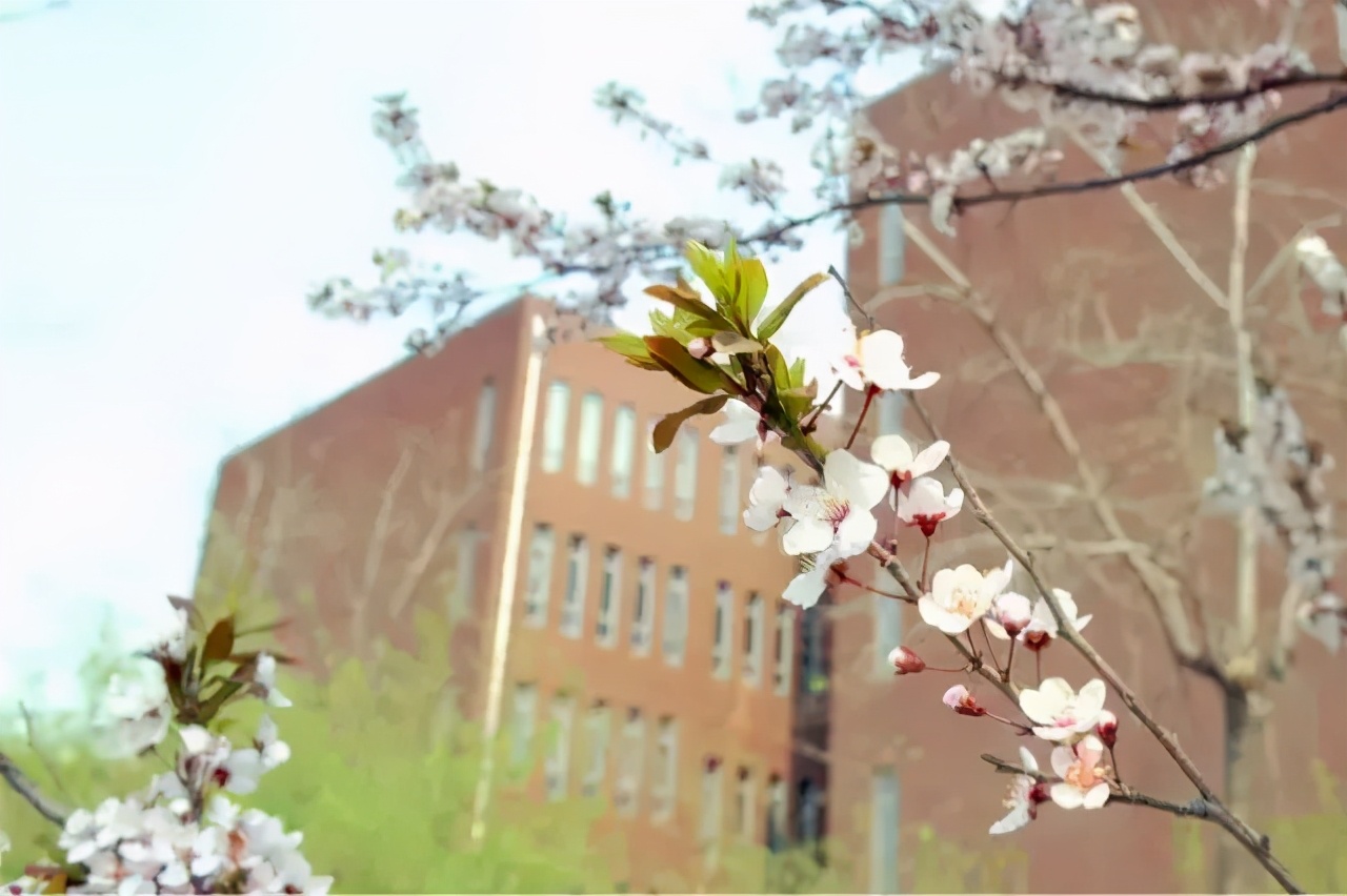 在天津排多少名能上天津科技大学,考上了天津科技大学怎么样