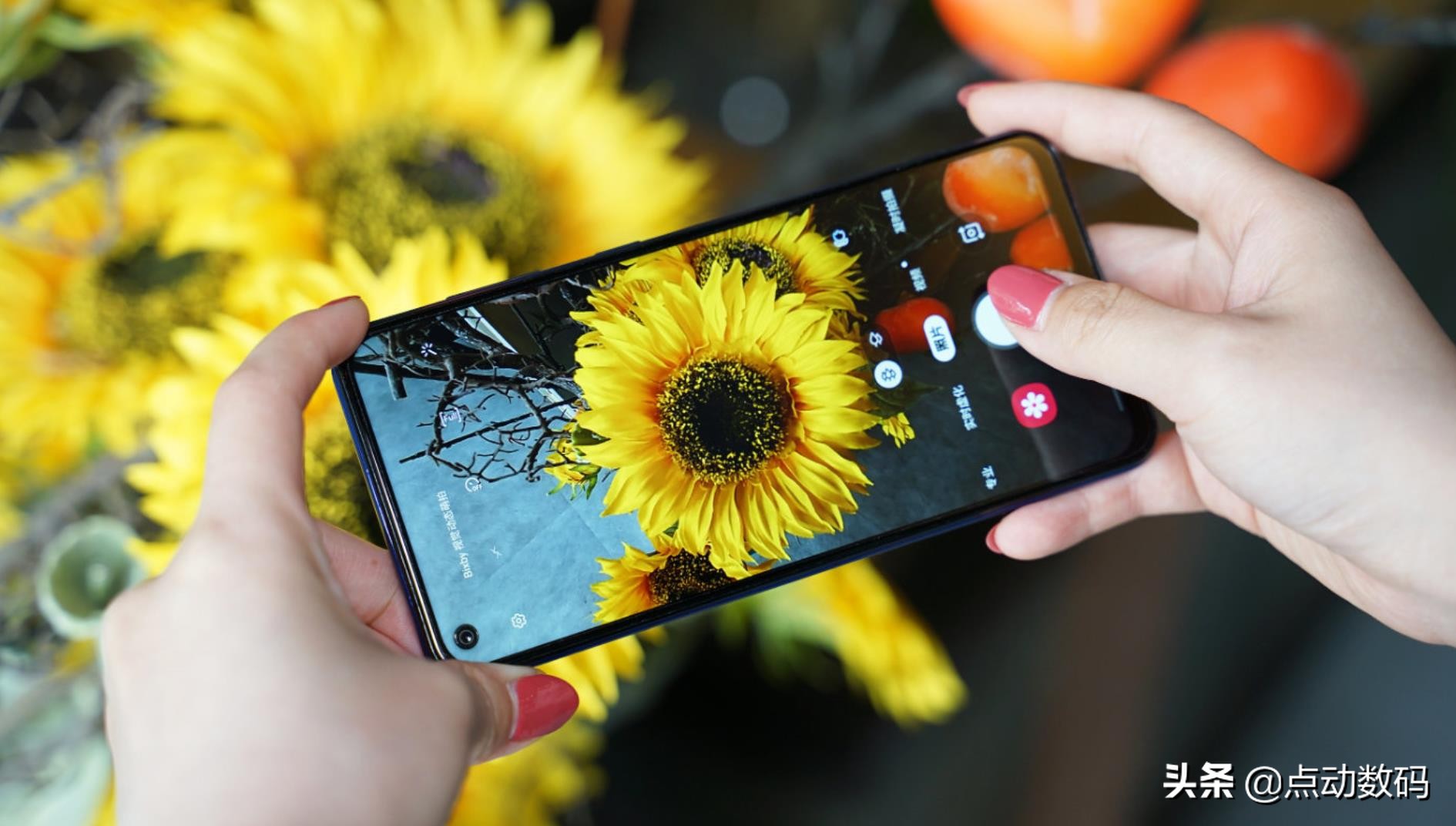 最适合学生党的10元机,小机型千元机推荐