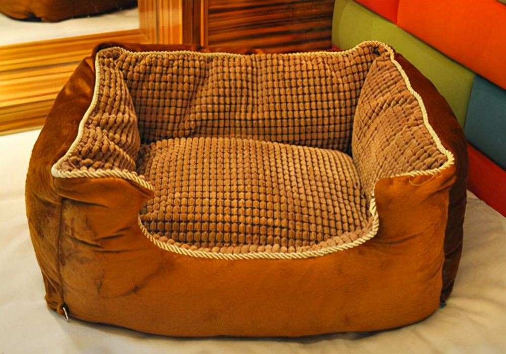 狗狗绝育后不容易得病,狗狗绝育后还会来姨妈吗