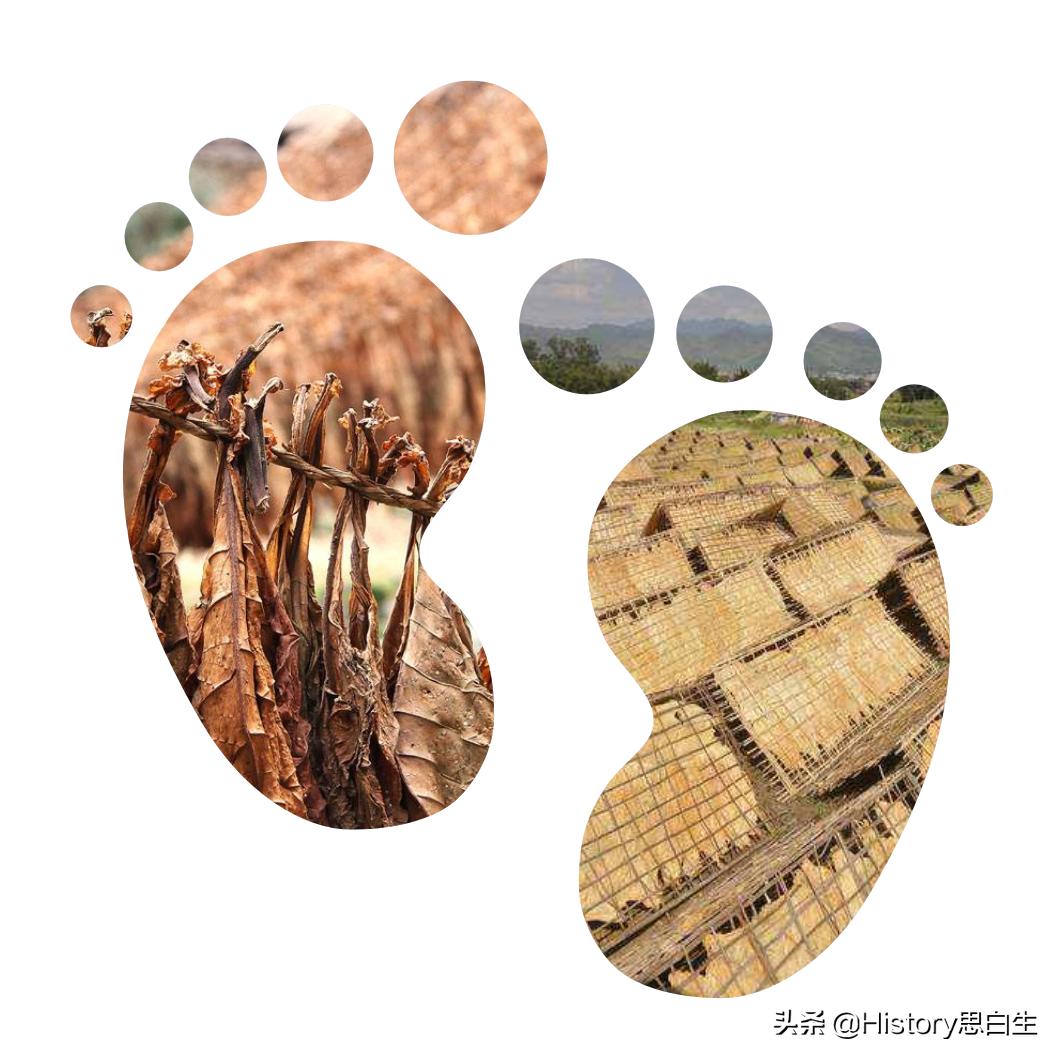 吸烟史翻译,吸烟史超过20年