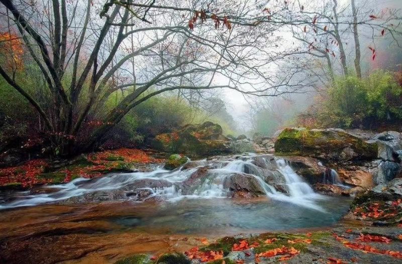 抓住秋天的尾巴走进冬天,抓住秋天的尾巴寻最后一抹金黄