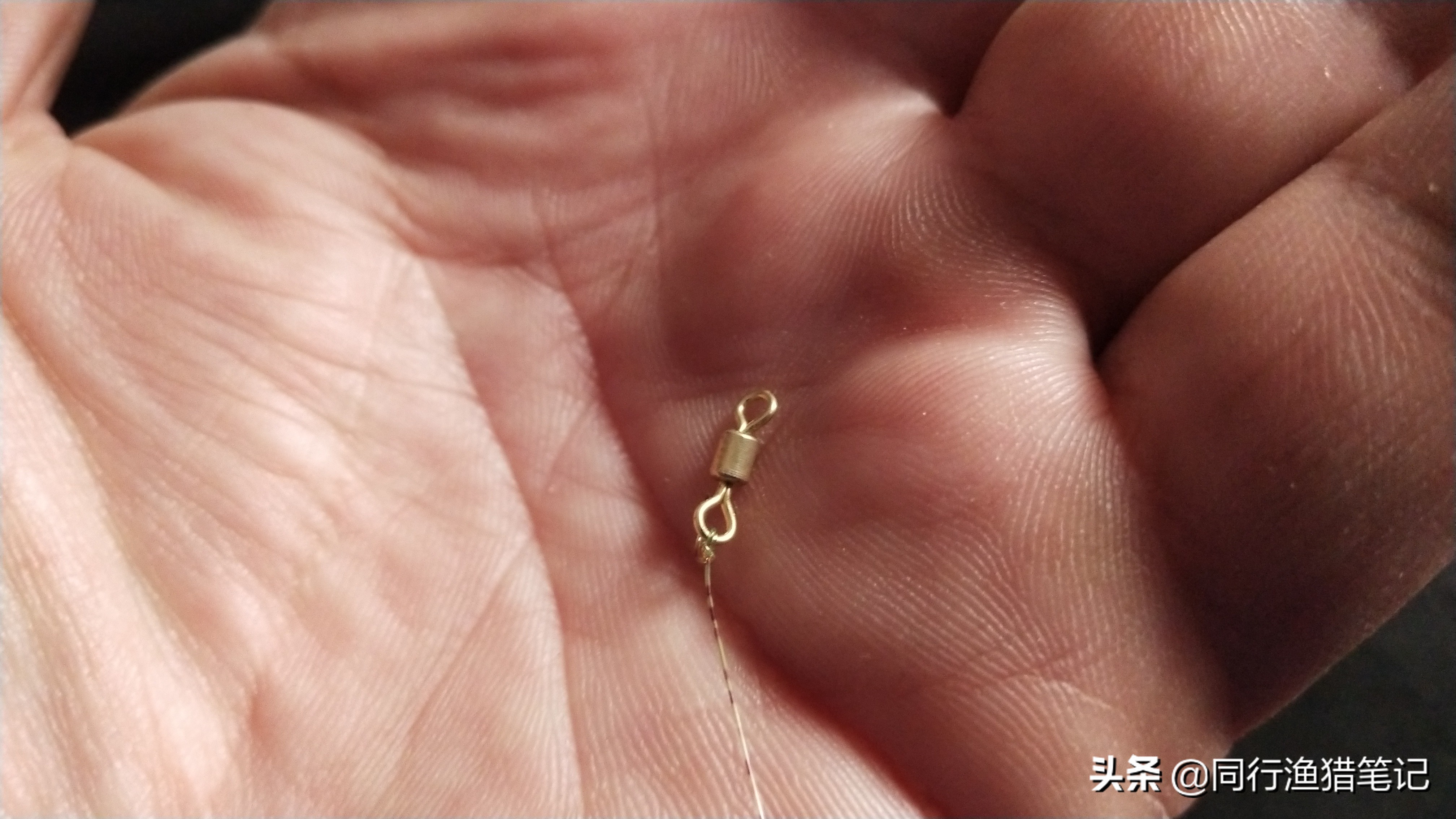 钓鱼线绑线全套方法,钓鱼子线绑线全套方法