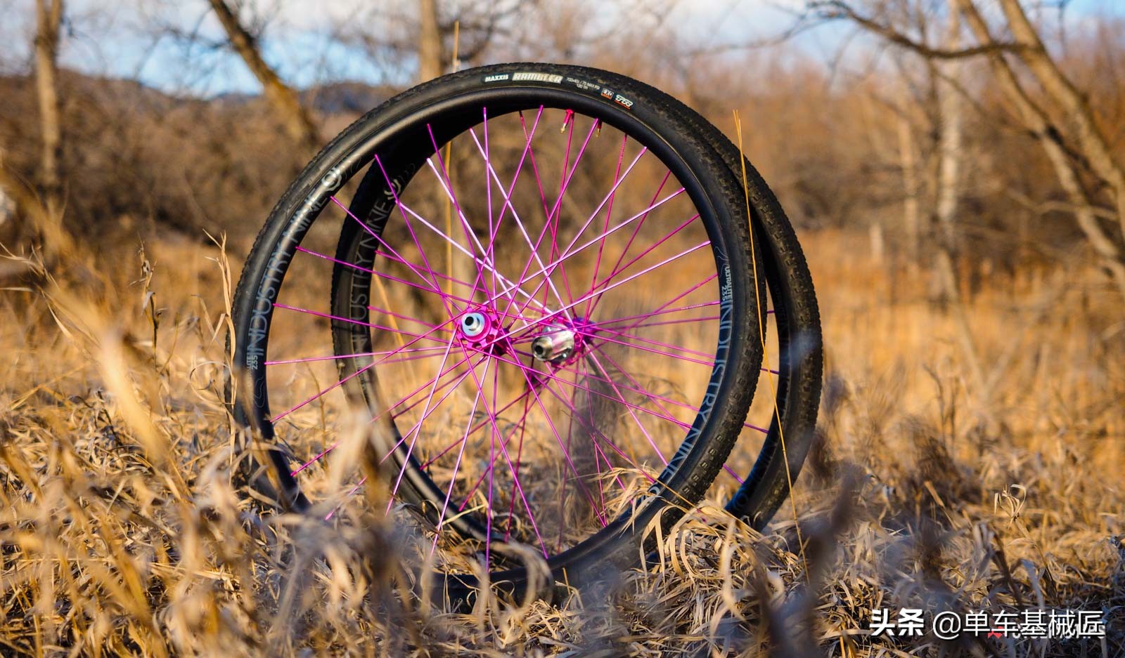 是什么赋予了这对轮组如此僵硬的骑行体验？是骚气的玫红色吗？