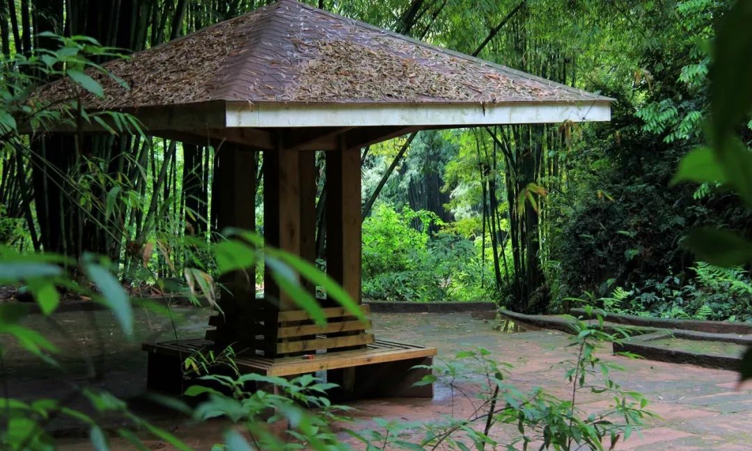 浦江朝阳湖值得游玩吗,浦江夜色旅游攻略