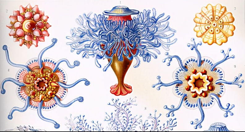 奋斗者号美国技术,外媒评价奋斗者号