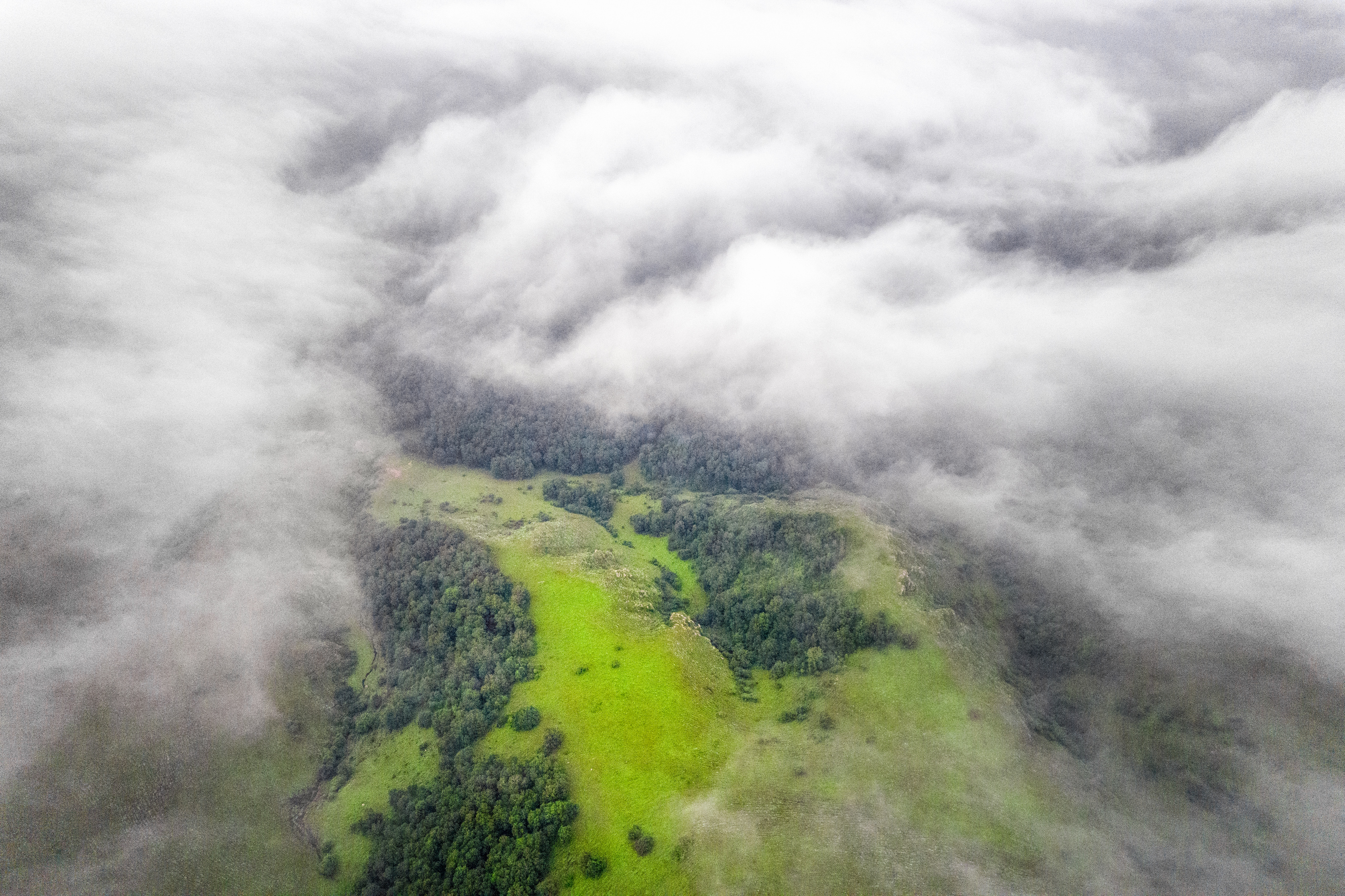 北京草原7天旅游攻略大全,距离北京最近的草原自驾游攻略
