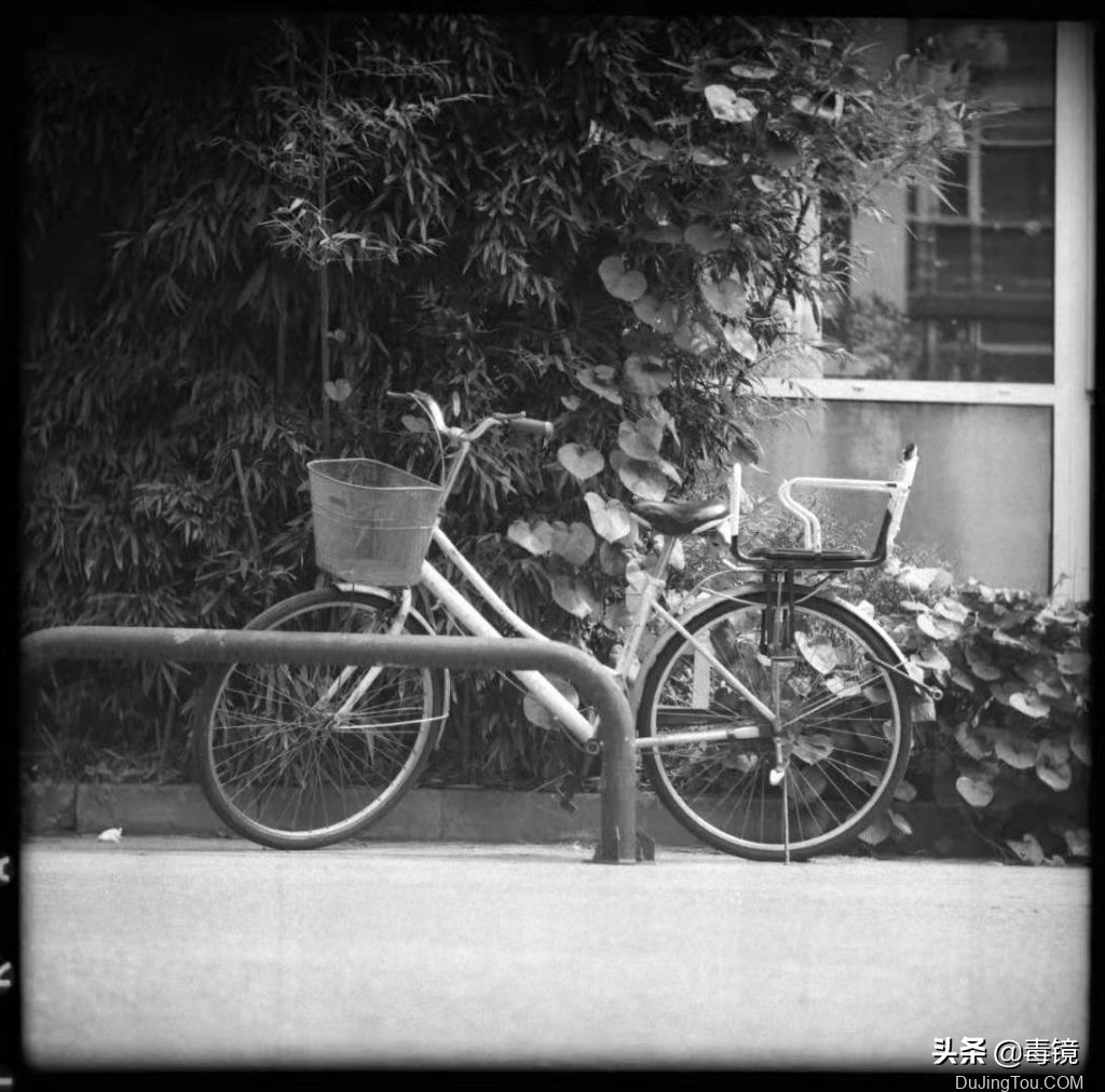 长城120中画幅单反胶片相机,长城df2中画幅相机胶卷