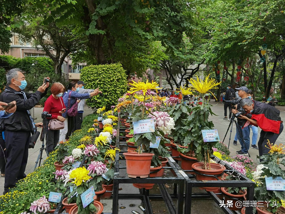 广州是最适合生活的一线城市,广州是一线城市中幸福感最强