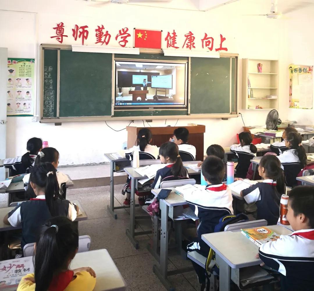 警花带你学交规哪4个时间要记住,警花带你学交规上学请走斑马线