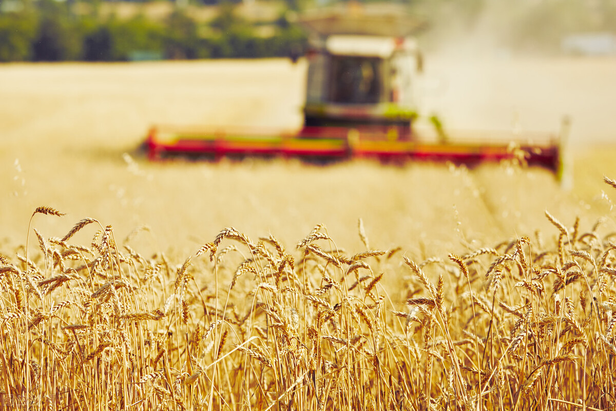 徐州的商机在哪里,徐州2021火爆加盟商机