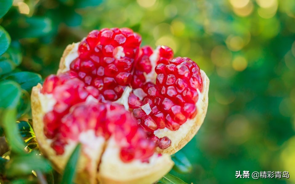突尼斯软籽石榴真的是很甜很甜,突尼斯软籽石榴口感细腻好吃到爆