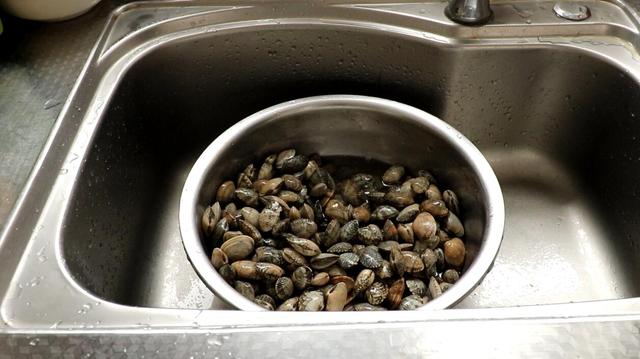 洗花蛤时别再用盐水泡了,花蛤温水去沙如何处理