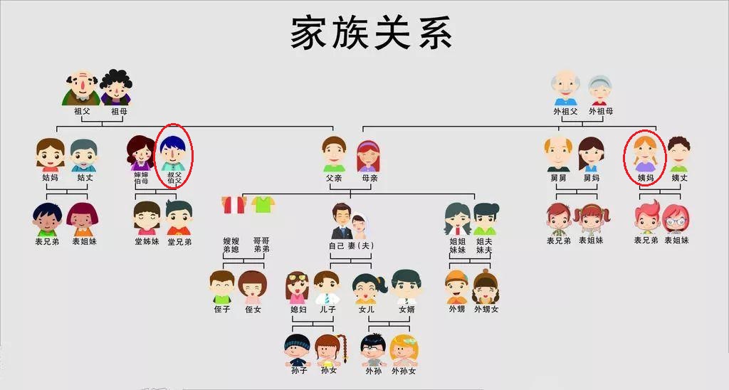 奇美拉现象,奇美拉嵌合体人现象