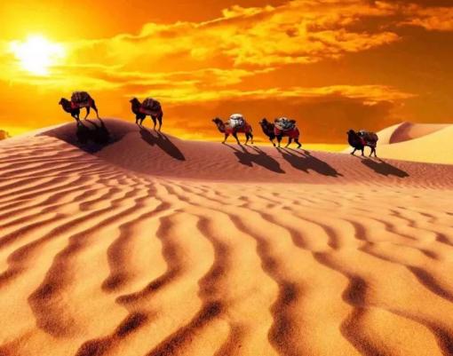 沙漠中看到石头为啥要捡,沙漠上的石头有必要捡吗