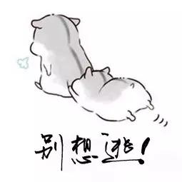 死缓是什么意思通俗,死缓是啥