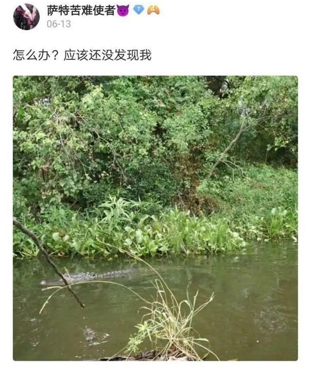 文能提竿安天下，武能执叉斗鳄鱼：鱼竿在手，万物皆有？