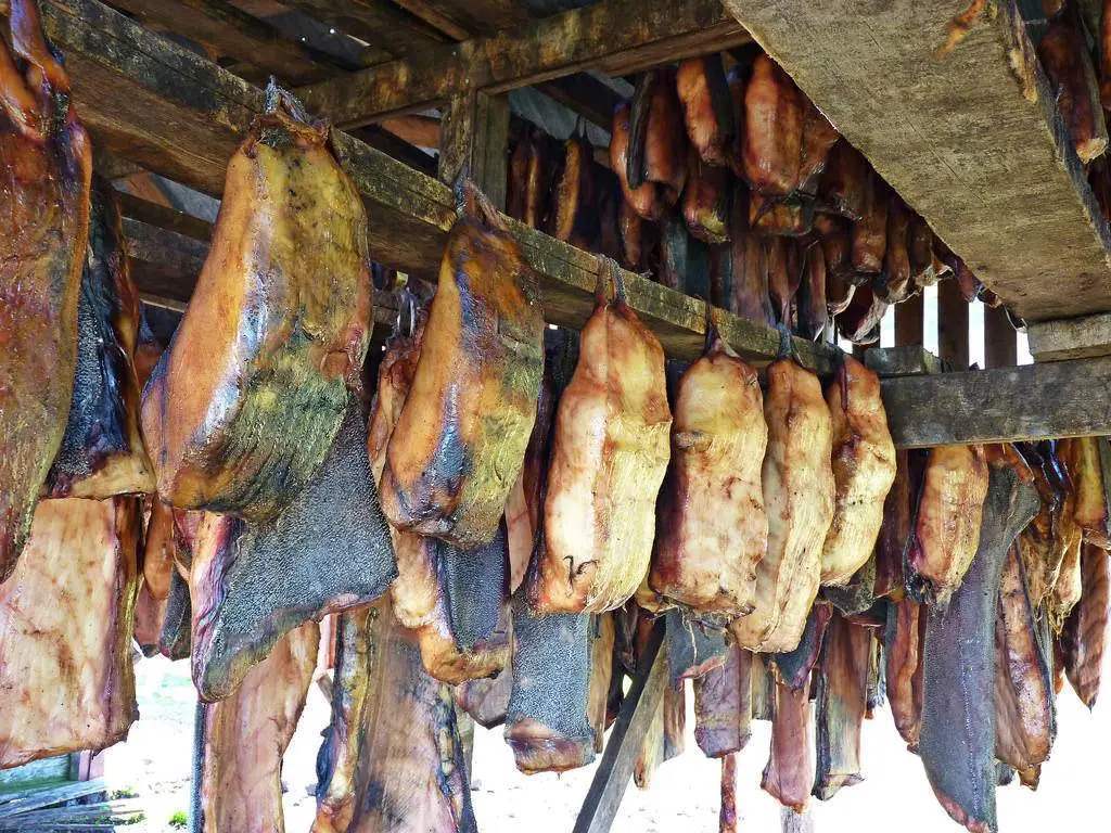 鲨鱼为什么不可以吃鱼翅,日本人为什么只吃鱼翅不吃鲨鱼