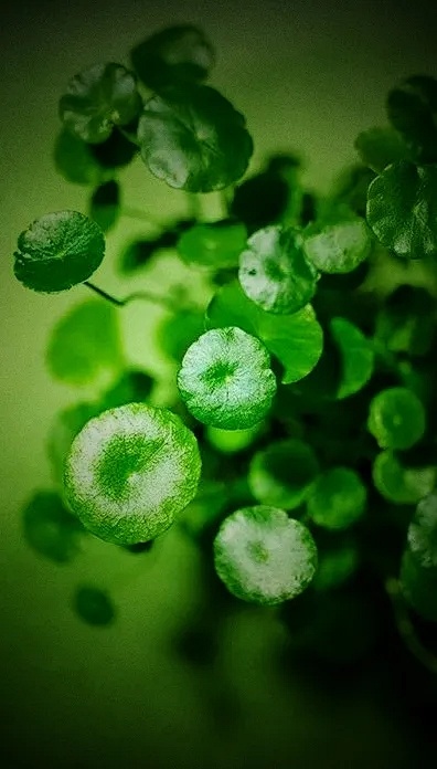 2021十大顶级护肤品排行榜,大牌护肤品成分表推荐