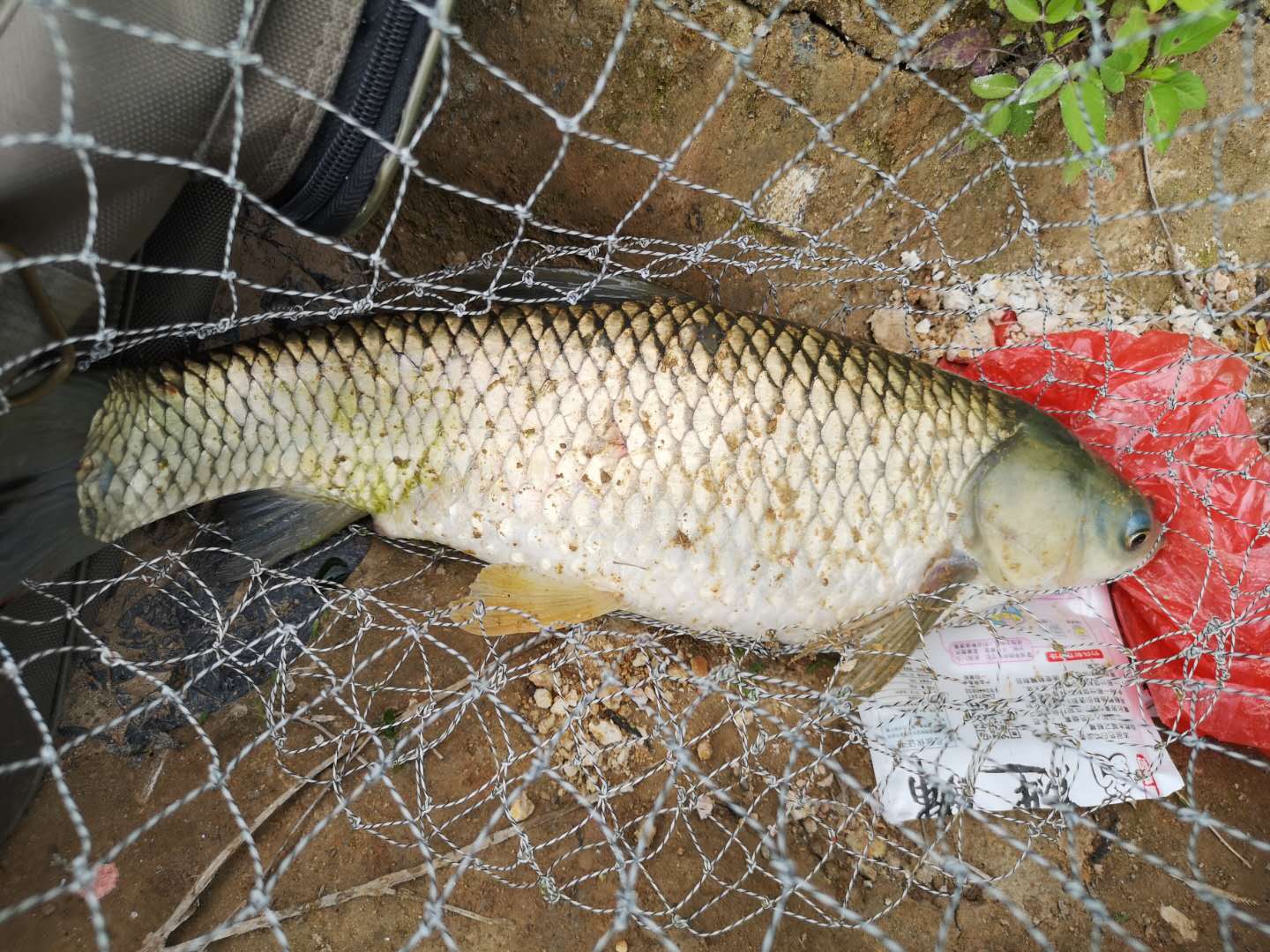 弹性超强的鱼竿有哪些优点,强烈推荐一款比较硬的好鱼竿