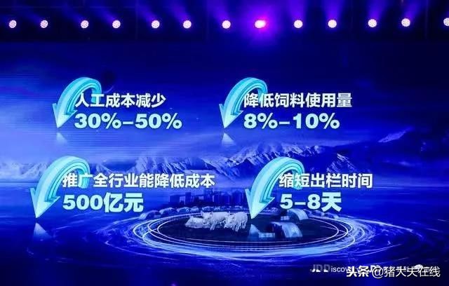 “京东猪”与网易、阿里养的猪有何异同?