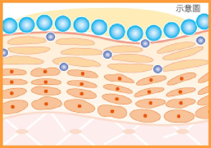 护肤鸡肋产品,护肤扫盲抗糖抗氧抗老