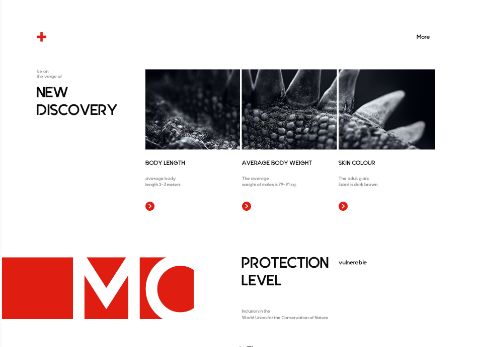 如何用排版技巧提升版面设计感,有什么排版技巧