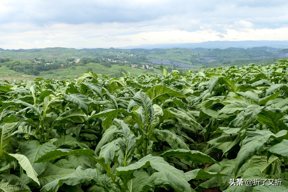 一个真实的骑行故事,一个女子十年骑行故事