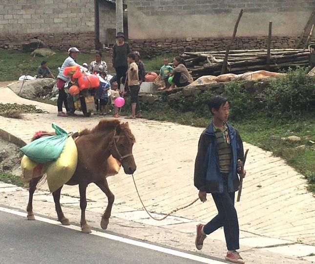 青藏高原原创版,歌曲翻唱青藏高原