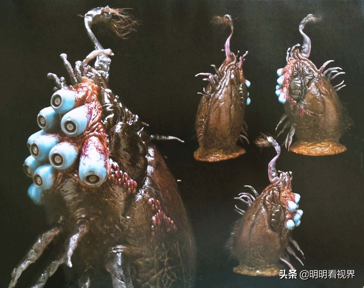 有生之年电影——《第九区》背后的故事，大虾的前世今生（一）