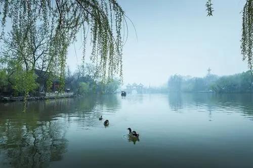 比苏杭还撩人的景色,充满诗情画意的江南美景